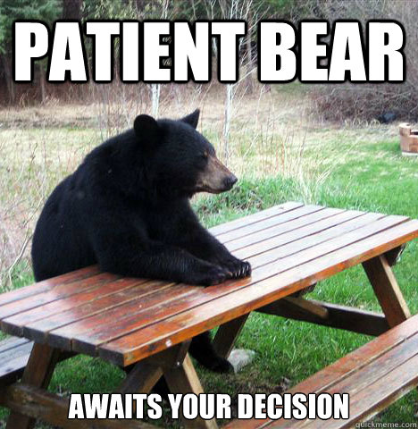 Patient Bear Awaits your decision  waiting bear