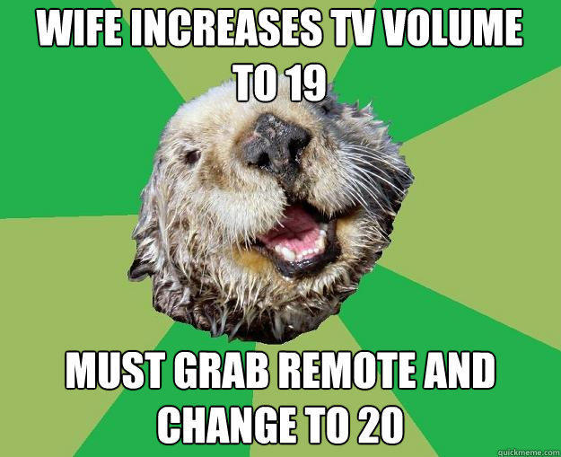 wife increases tv volume to 19 must grab remote and change to 20 - wife increases tv volume to 19 must grab remote and change to 20  OCD Otter