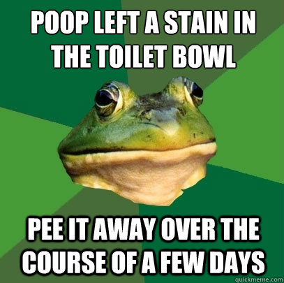 poop left a stain in the toilet bowl pee it away over the course of a few days  Foul Bachelor Frog