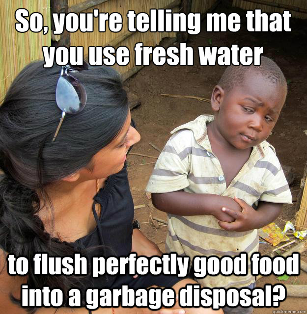 So, you're telling me that you use fresh water to flush perfectly good food into a garbage disposal?    3rd World Skeptical Child