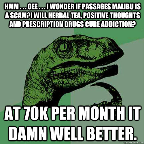 Hmm . . . gee . . . I wonder if Passages Malibu is a scam?! Will herbal tea, positive thoughts and prescription drugs cure addiction? At 70K per month it damn well better. - Hmm . . . gee . . . I wonder if Passages Malibu is a scam?! Will herbal tea, positive thoughts and prescription drugs cure addiction? At 70K per month it damn well better.  Philosoraptor