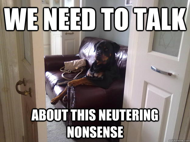 We need to talk About this neutering nonsense - We need to talk About this neutering nonsense  Rational Rottweiler