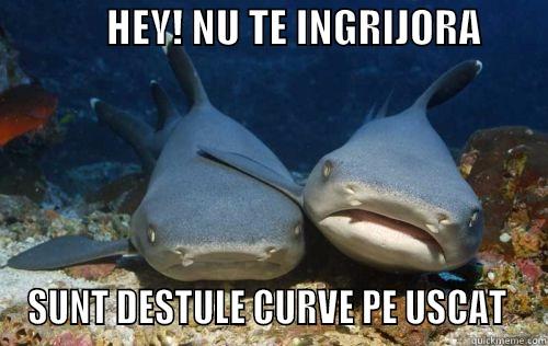              HEY! NU TE INGRIJORA         SUNT DESTULE CURVE PE USCAT  Compassionate Shark Friend