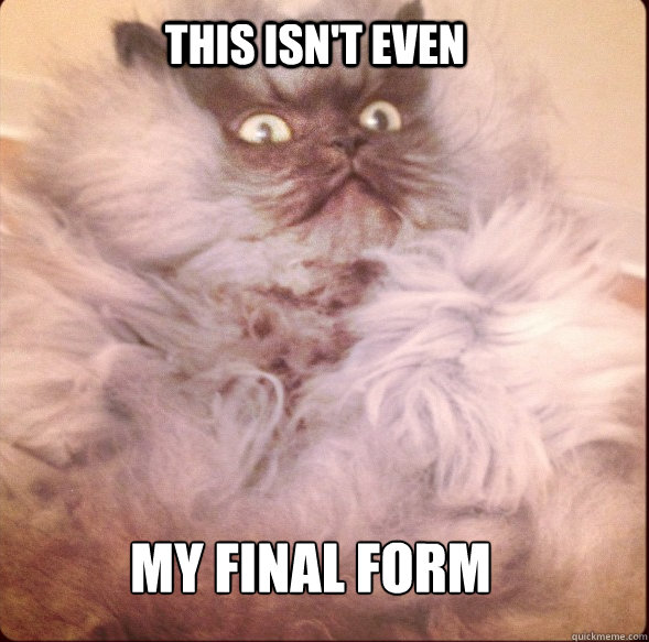 This isn't even my final form - This isn't even my final form  Colonel Meow