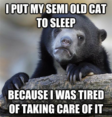 I put my semi old cat to sleep Because I was tired of taking care of it  Confession Bear
