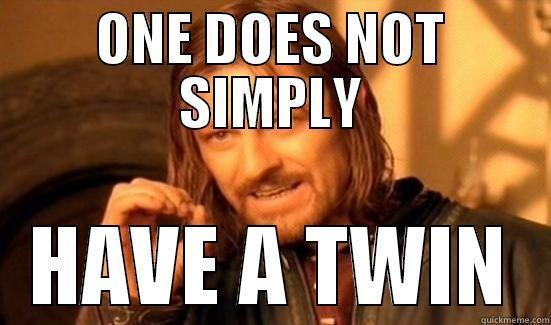 ONE DOES NOT SIMPLY HAVE A TWIN Boromir