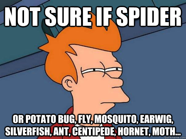 Not sure if spider Or potato bug, fly, mosquito, earwig, silverfish, ant, centipede, hornet, moth...  Futurama Fry