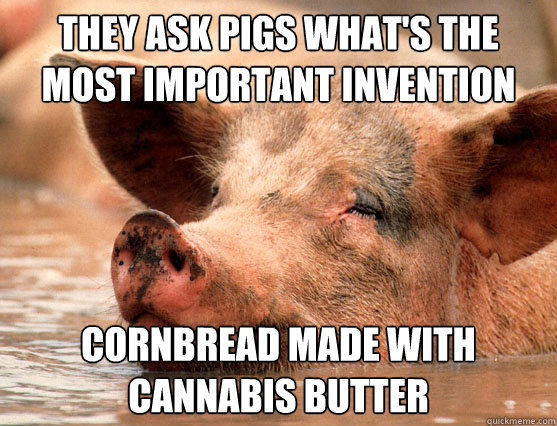 they ask pigs what's the most important invention cornbread made with cannabis butter - they ask pigs what's the most important invention cornbread made with cannabis butter  Stoner Pig