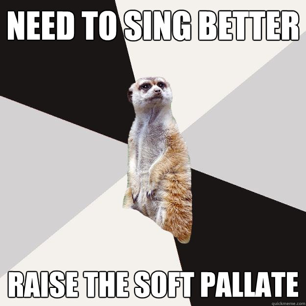 need to sing better raise the soft pallate  