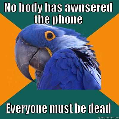 NO BODY HAS AWNSERED THE PHONE EVERYONE MUST BE DEAD Paranoid Parrot