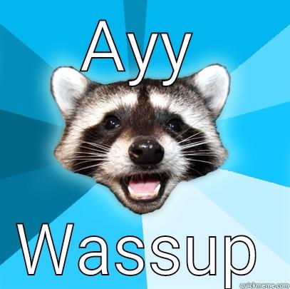 Rabid raccoon - AYY WASSUP Lame Pun Coon