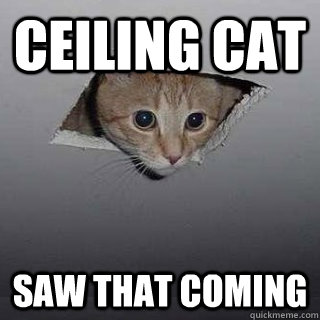 Ceiling cat saw that coming  Ceiling Cat