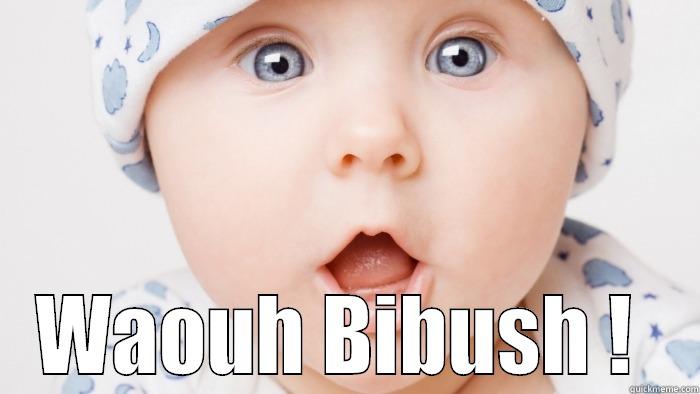  WAOUH BIBUSH !  Misc