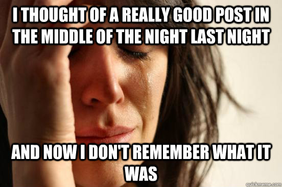 I thought of a really good post in the middle of the night last night and now I don't remember what it was - I thought of a really good post in the middle of the night last night and now I don't remember what it was  First World Problems