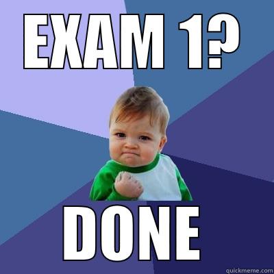 EXAM 1? DONE Success Kid