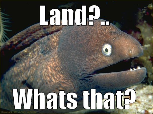 LAND?.. WHATS THAT? Bad Joke Eel