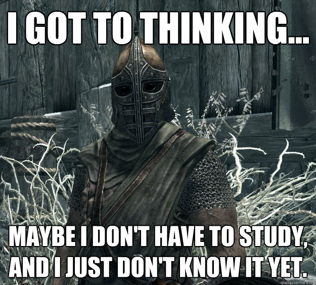 I got to thinking... Maybe I don't have to study, and I just don't know it yet. - I got to thinking... Maybe I don't have to study, and I just don't know it yet.  Skyrim Guard