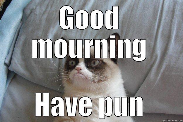 GOOD MOURNING HAVE PUN Grumpy Cat
