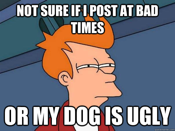 Not sure if i post at bad times Or my dog is ugly  Futurama Fry