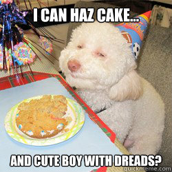 I can haz cake... AND cute boy with dreads?  birthday dog