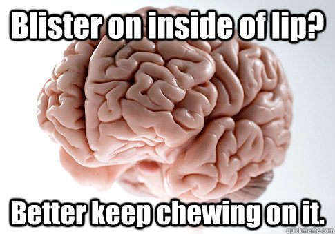 Blister on inside of lip? Better keep chewing on it.   Scumbag Brain