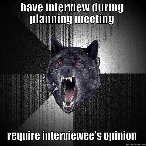 HAVE INTERVIEW DURING PLANNING MEETING REQUIRE INTERVIEWEE'S OPINION Insanity Wolf