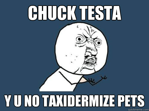 Chuck testa y u no taxidermize pets  Y U No