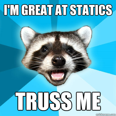 I'm great at Statics Truss me  Lame Pun Coon