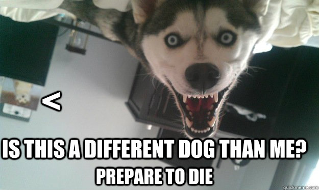 < Is this a different dog than me? Prepare to die - < Is this a different dog than me? Prepare to die  Overly Attached Dog