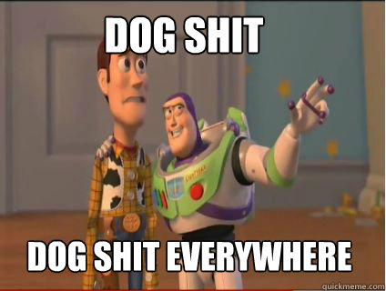 Dog Shit Dog Shit Everywhere  woody and buzz