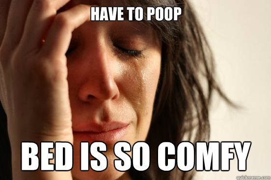 Have to poop Bed is so comfy  First World Problems