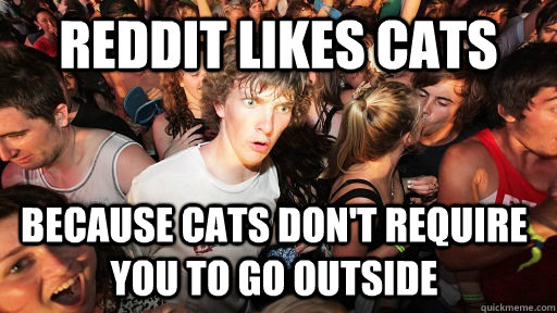 Reddit likes cats because cats don't require you to go outside  Sudden Clarity Clarence