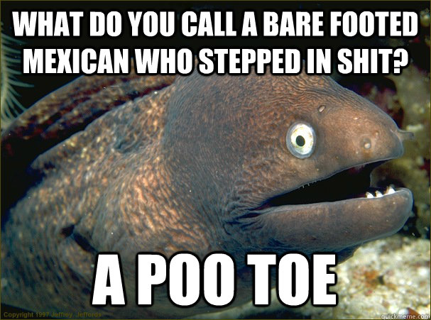what do you call a bare footed mexican who stepped in shit? a poo toe - what do you call a bare footed mexican who stepped in shit? a poo toe  Bad Joke Eel