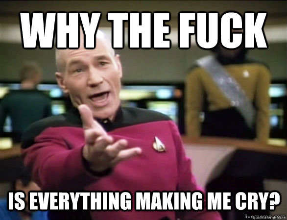 why the fuck is everything making me cry?  Annoyed Picard HD