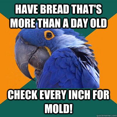 Have bread that's more than a day old Check every inch for mold!  Paranoid Parrot