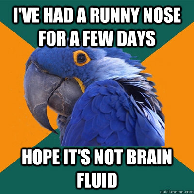 I've had a runny nose for a few days hope it's not brain fluid - I've had a runny nose for a few days hope it's not brain fluid  Paranoid Parrot