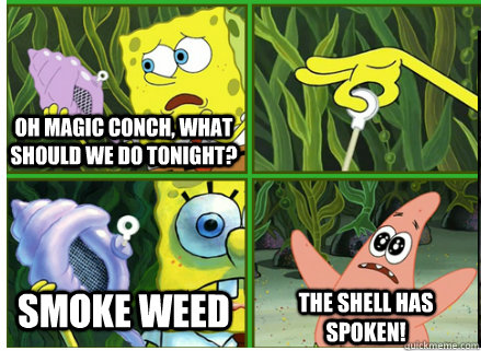 Oh Magic Conch, what should we do tonight? Smoke Weed The SHELL HAS SPOKEN!  Magic Conch Shell