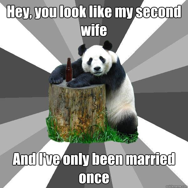 Hey, you look like my second wife And I've only been married once  Pickup-Line Panda