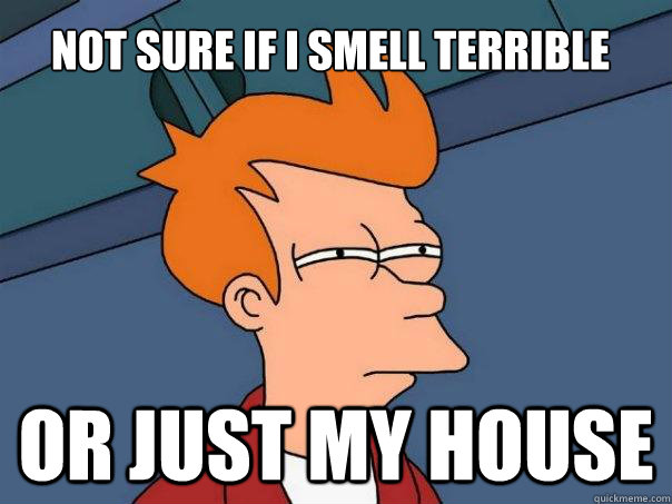 Not sure if i smell terrible Or just my house  Futurama Fry