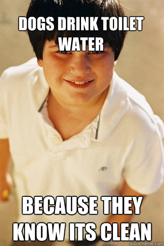 Dogs drink toilet water because they know its clean  