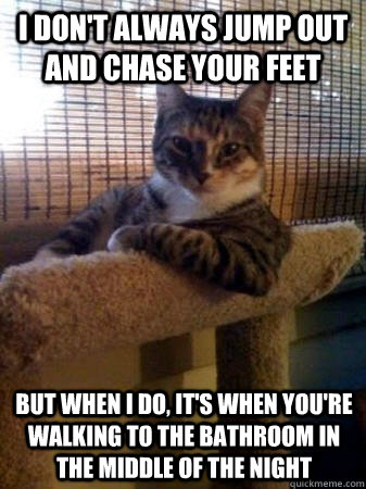 I don't always jump out and chase your feet but when I do, it's when you're walking to the bathroom in the middle of the night  The Most Interesting Cat in the World