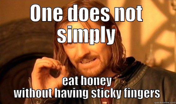 ONE DOES NOT SIMPLY EAT HONEY WITHOUT HAVING STICKY FINGERS One Does Not Simply