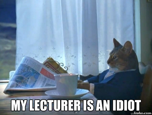  My lecturer is an idiot  Contemplative Breakfast Cat