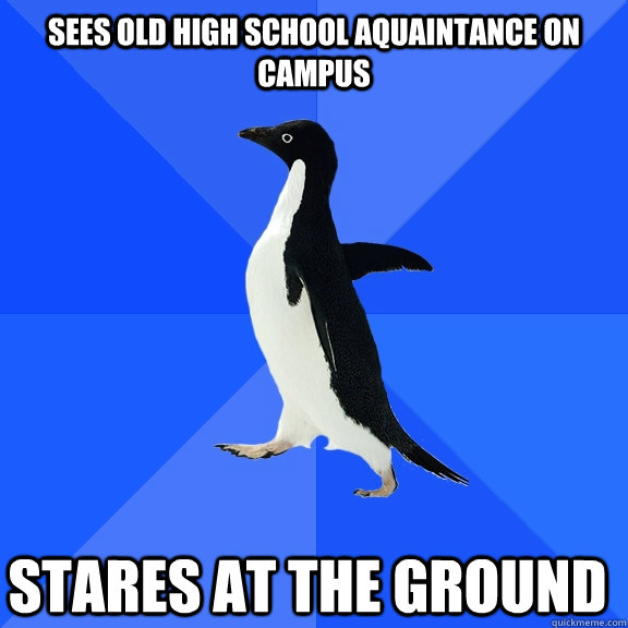 sees old high school aquaintance on campus stares at the ground    Socially Awkward Penguin
