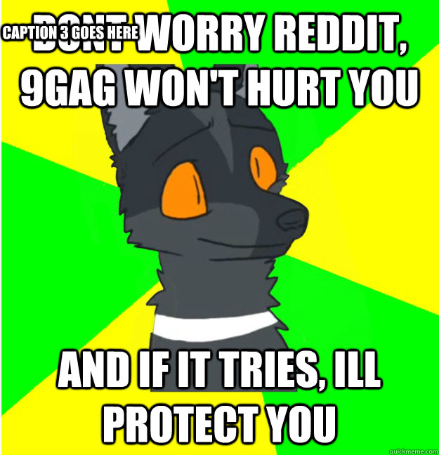 dont worry reddit, 9gag won't hurt you and if it tries, Ill protect you Caption 3 goes here - dont worry reddit, 9gag won't hurt you and if it tries, Ill protect you Caption 3 goes here  LimeyWolf