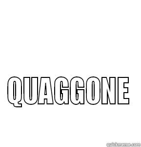  QUAGGONE Misc
