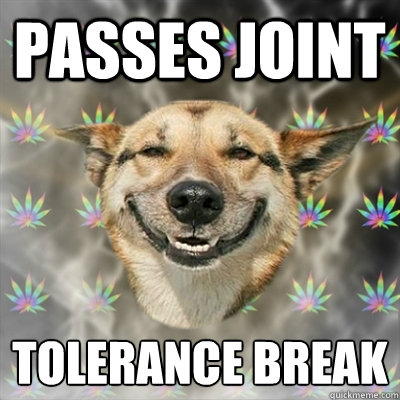 Passes joint tolerance break   Stoner Dog
