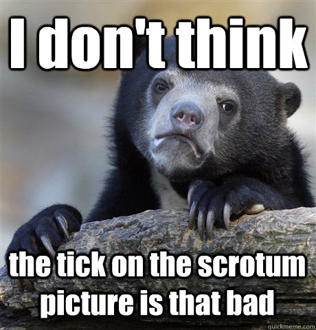 I don't think the tick on the scrotum picture is that bad  Confession Bear