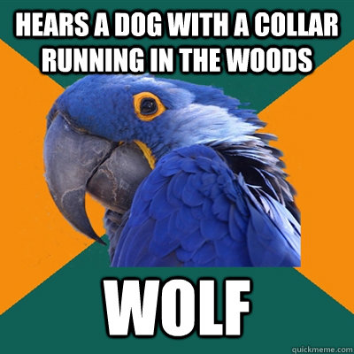 hears a dog with a collar running in the woods wolf   Paranoid Parrot