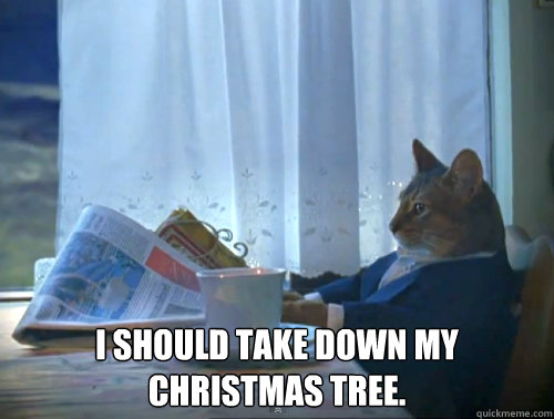  I should take down my Christmas tree.  The One Percent Cat